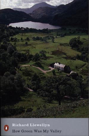 Cover image for How Green was My Valley, isbn: 9780141185859