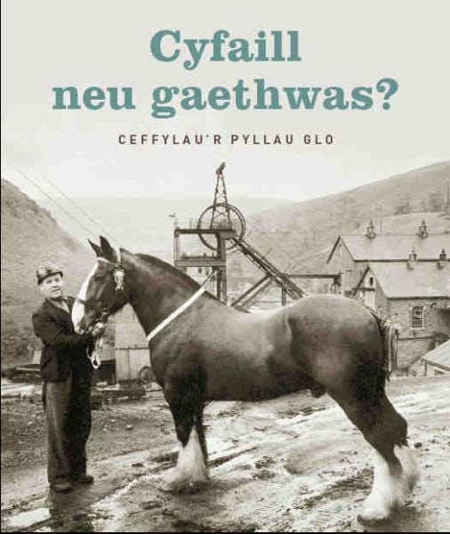 Cover image for Cyfaill Neu Gaethwas? Ceffylau'r Pyllau Glo, isbn: 9780720005905