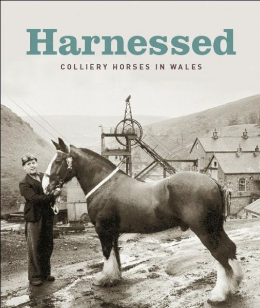 Cover image for Harnessed Colliery Horses in Wales, isbn: 9780720005912