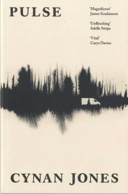 Cover image for Pulse, isbn: 9781783788200