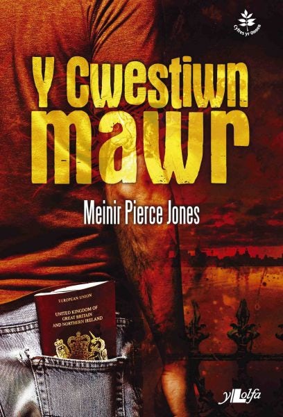 Cover image for Cyfres yr Onnen: Y Cwestiwn Mawr, isbn: 9781784610234