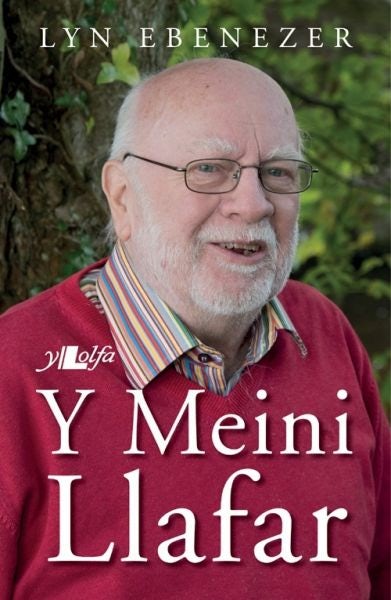 Cover image for Meini Llafar, isbn: 9781784615451