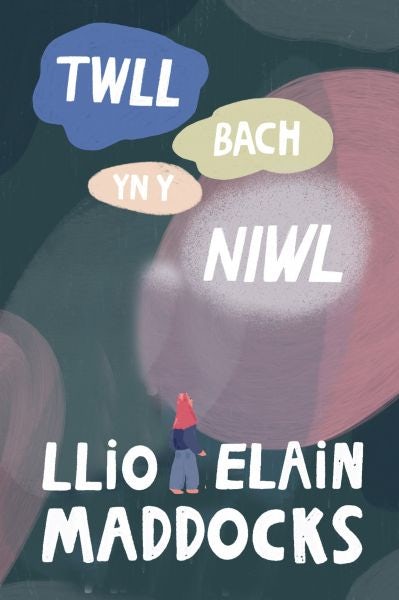 Cover image for Twll Bach yn y Niwl, isbn: 9781800990227
