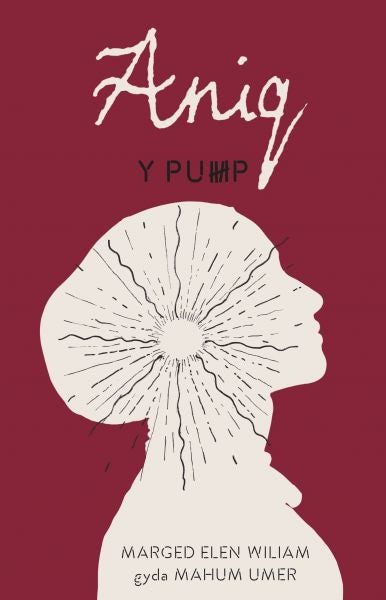 Cover image for Aniq - Y Pump, isbn: 9781800991248