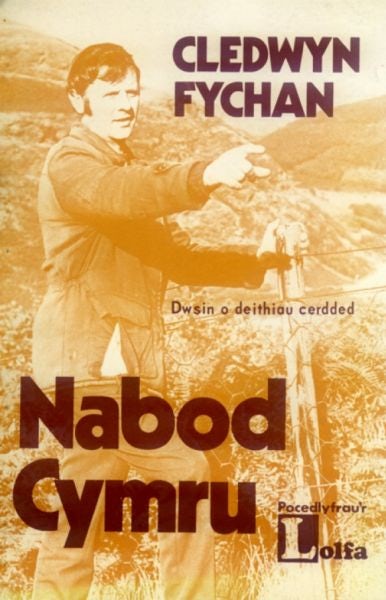 Cover image for Nabod Cymru - Dwsin o deithiau cerdded, isbn: 9781800992856