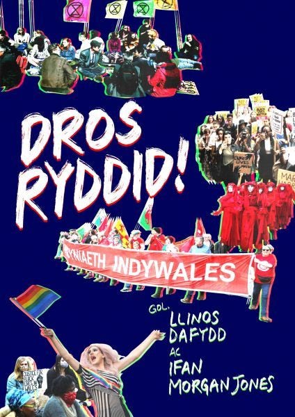 Cover image for Dros Ryddid - Profiadau Unigolion o Brotestio, isbn: 9781800993082