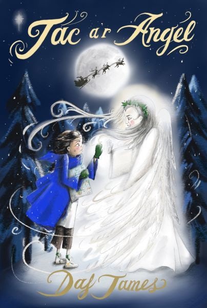 Cover image for Jac a'r Angel, isbn: 9781800995352