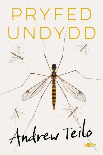 Cover image for Pryfed Undydd, isbn: 9781800995437