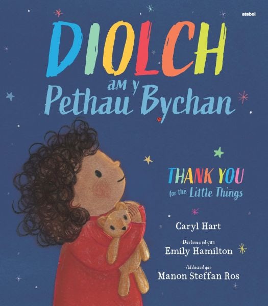 Cover image for Diolch am y Pethau Bychan / Thank you for the Little Things, isbn: 9781801063425