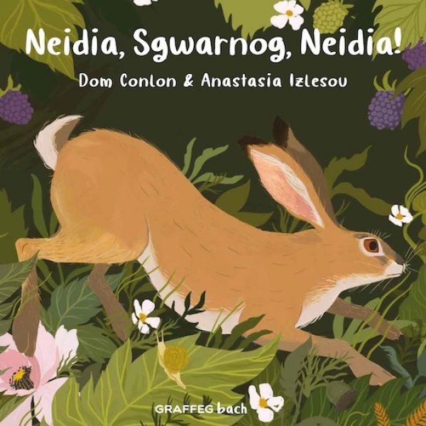 Cover image for Neidia, Sgwarnog, Neidia!, isbn: 9781802580549
