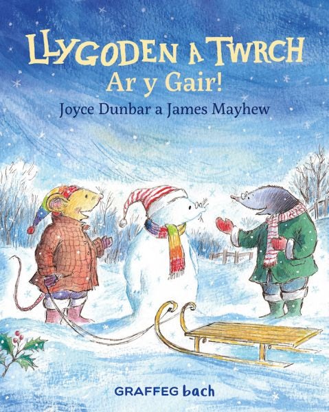Cover image for Llygoden a Twrch: Ar y Gair!, isbn: 9781802582161