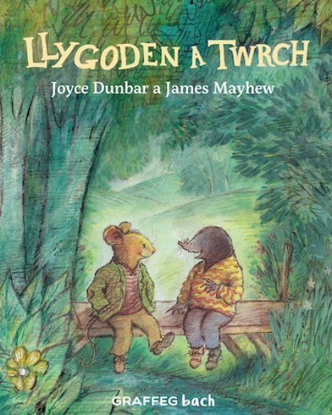 Cover image for Llygoden a Twrch, isbn: 9781802582765
