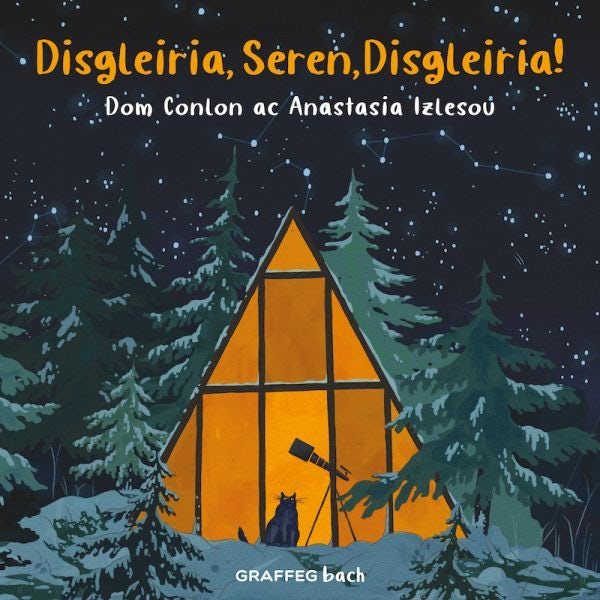 Cover image for Disgleiria, Seren, Disgleiria, isbn: 9781802583939