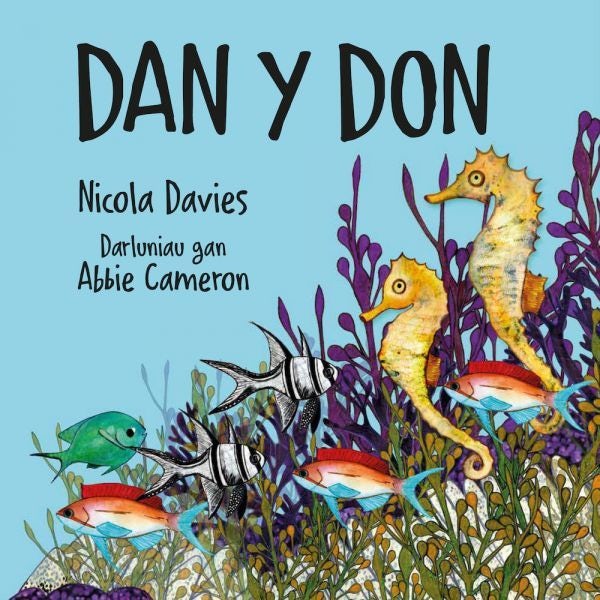 Cover image for Dan y Don, isbn: 9781802584264
