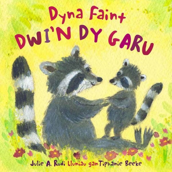 Cover image for Dyna Faint Dwi’n dy Garu, isbn: 9781802585971