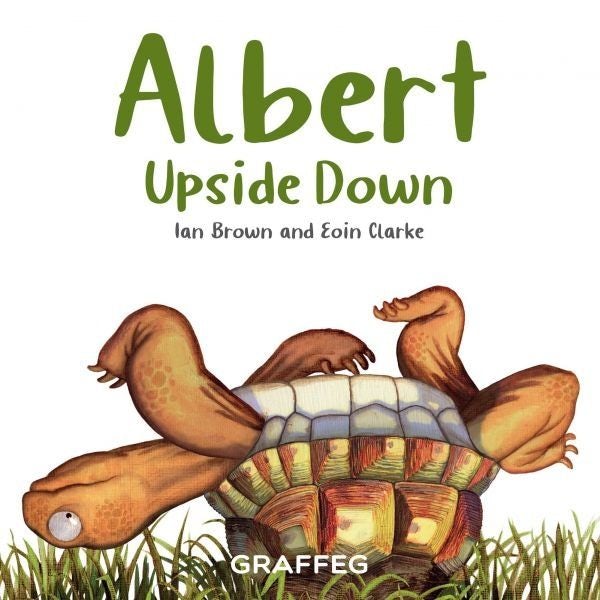 Cover image for Albert Upside Down, isbn: 9781802586787