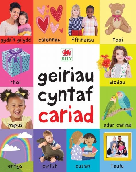 Cover image for Geiriau Cyntaf Cariad, isbn: 9781804162590
