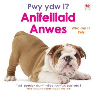 Cover image for Pwy ydw i? Anifeiliaid Anwes / Who Am I? Pets, isbn: 9781804164334