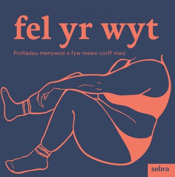 Cover image for Fel yr wyt, isbn: 9781835390092