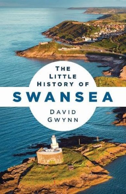 Cover image for The Little History of Swansea, isbn: 9781837053575