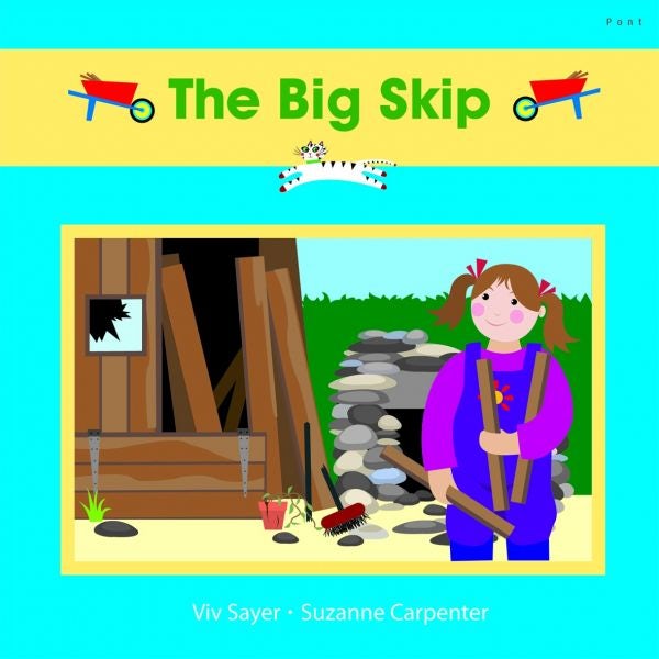 Cover image for Cadi: The Big Skip, isbn: 9781843239529