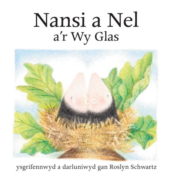 Cover image for Cyfres Nansi a Nel: Nansi a Nel a'r Wy Glas, isbn: 9781845214661