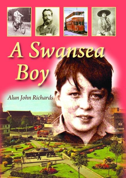 Cover image for Swansea Boy, A, isbn: 9781845242015