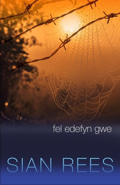 Cover image for Fel Edefyn Gwe, isbn: 9781845243555