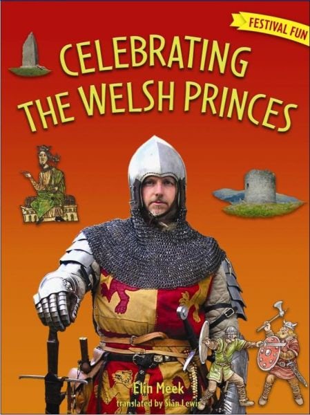 Cover image for Festival Fun: Celebrating the Welsh Princes, isbn: 9781845271893