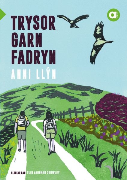 Cover image for Cyfres Amdani: Trysor Garn Fadryn, isbn: 9781845278472