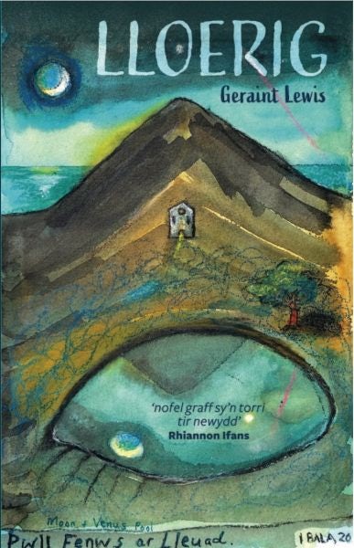 Cover image for Lloerig, isbn: 9781845278496