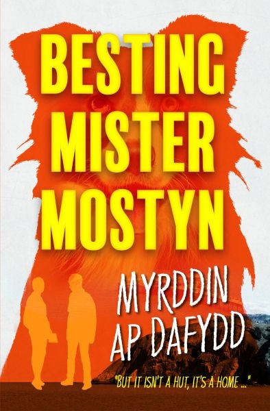 Cover image for Besting Mister Mostyn, isbn: 9781845279424