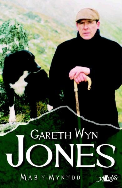 Cover image for Mab y Mynydd, isbn: 9781847714442