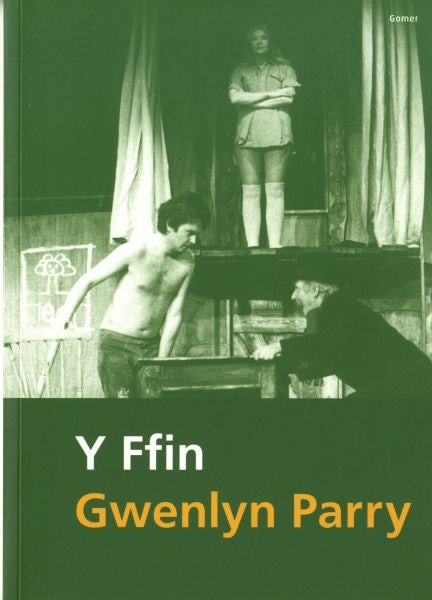 Cover image for Ffin, Y, isbn: 9781848510029