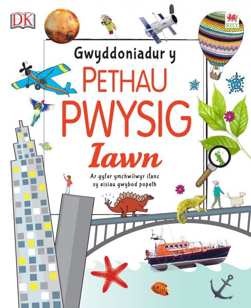 Cover image for Gwyddoniadur y Pethau Pwysig Iawn, isbn: 9781849677660