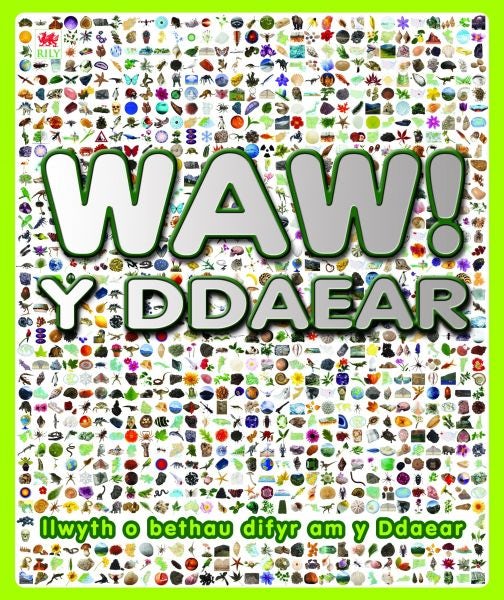 Cover image for Waw! y Ddaear, isbn: 9781849679657