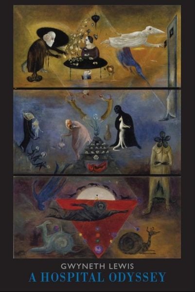 Cover image for Hospital Odyssey, A, isbn: 9781852248772