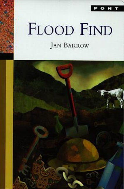 Cover image for Flood Find, isbn: 9781859023266