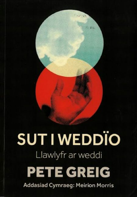 Cover image for Sut i Weddïo - llawlyfr ar weddi, isbn: 9781859949801