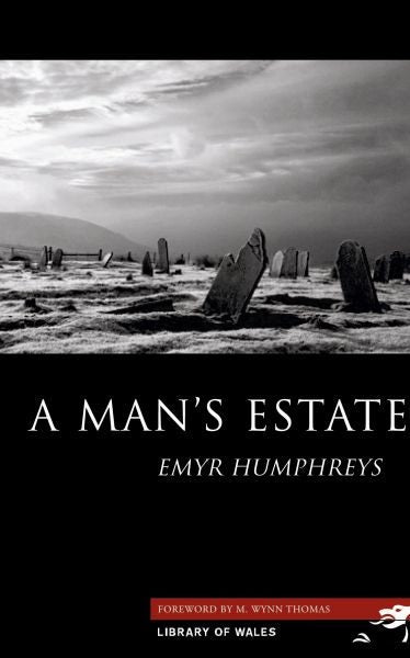 Cover image for Library of Wales: A Man's Estate, isbn: 9781902638867