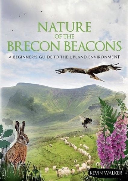Cover image for Nature of the Brecon Beacons - A Beginner's Guide to the Upland Environment, isbn: 9781906095659