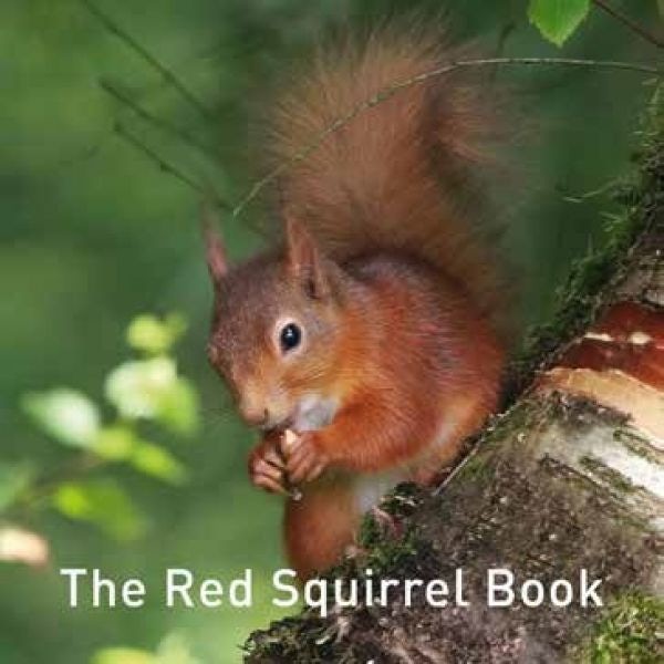 Cover image for Nature Book Series: The Red Squirrel Book, isbn: 9781912654178