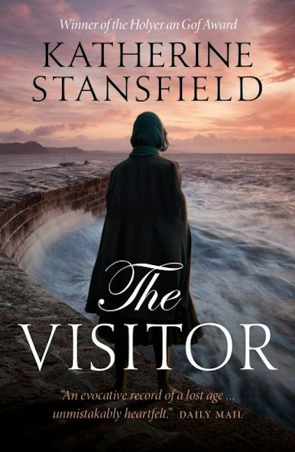 Cover image for The Visitor, isbn: 9781913830755
