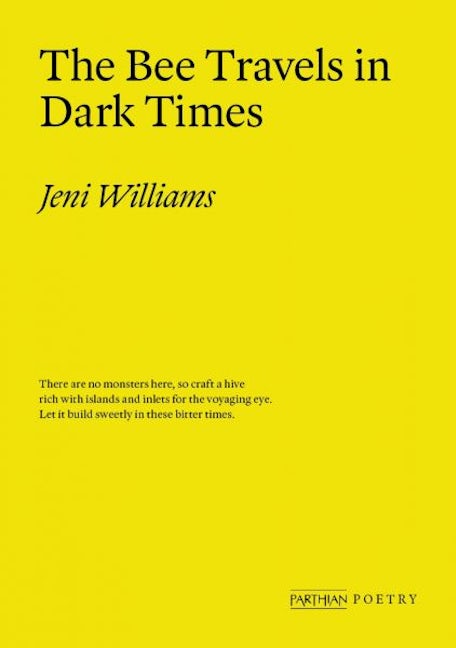 Cover image for The Bee Travels in Dark Times, isbn: 9781913830786