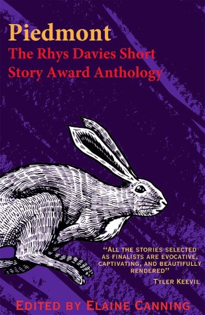 Cover image for Piedmont, isbn: 9781913830854