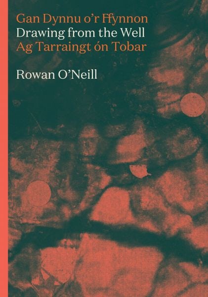 Cover image for Drawing from the Well, isbn: 9781914595646