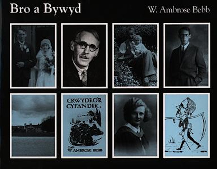 Cover image for Bro a Bywyd:17. W. Ambrose Bebb 1884-1955, isbn: 9780000570383