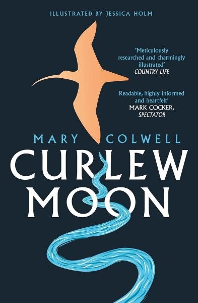 Cover image for Curlew Moon, isbn: 9780008241070