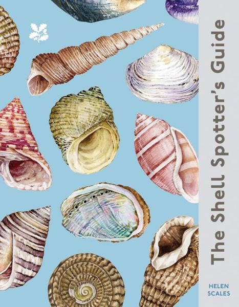 Cover image for The Shell Spotter's Guide, isbn: 9780008641313