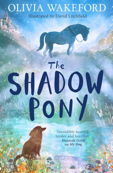 Cover image for The Shadow Pony, isbn: 9780008658618